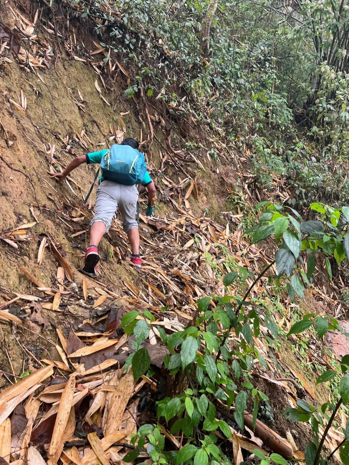 A mid-hike pause under clearing skies—sweat-drenched but smiling. The trail still steep, yet the stride more confident. What began in rain now unfolds under sun, every uphill step etched with earned ease.