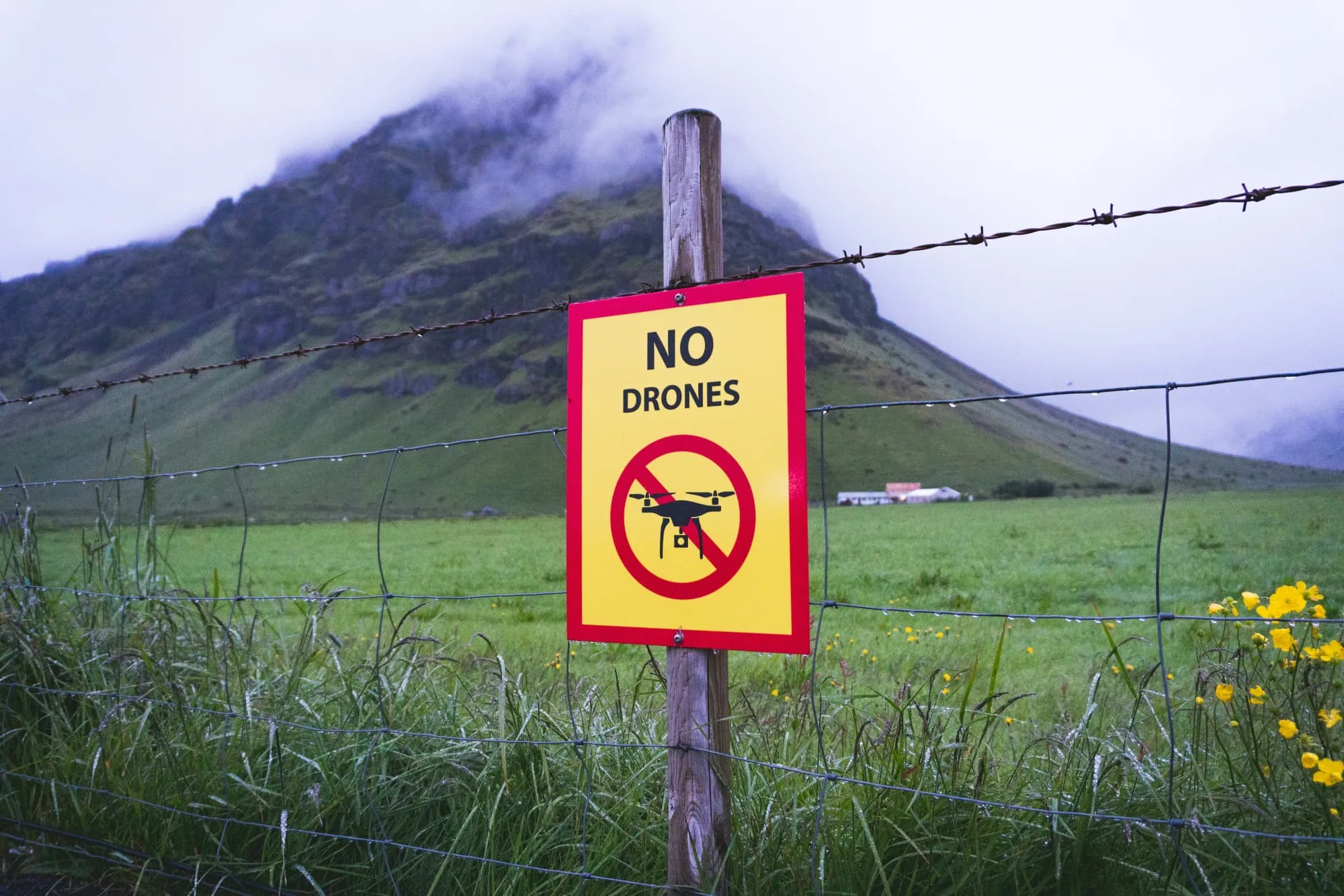 Work From Anywhere vs Archaic Immigration Laws