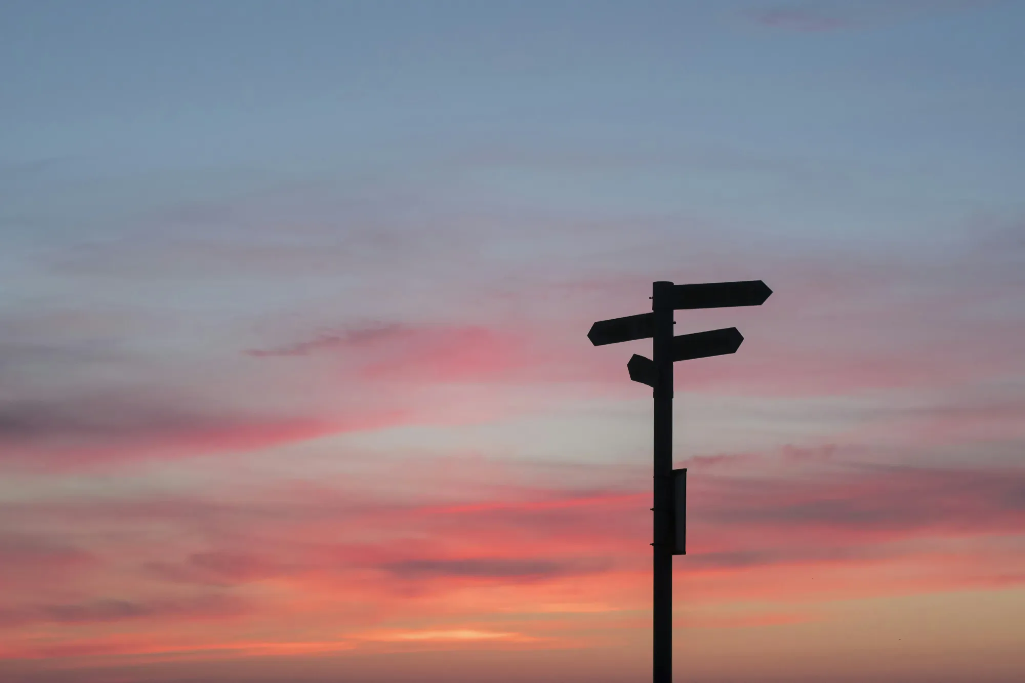 Contractor vs PEO vs EOR: How to Employ Remote Colleagues Globally